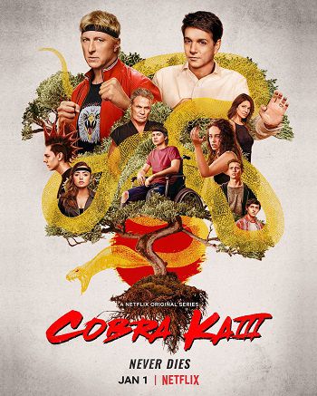 Poster Phim Võ Quán Karate Cobra Kai Phần 3 (Cobra Kai Season 3)