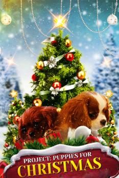 Xem Phim Quà Giáng Sinh Bất Ngờ (Puppies for Christmas)