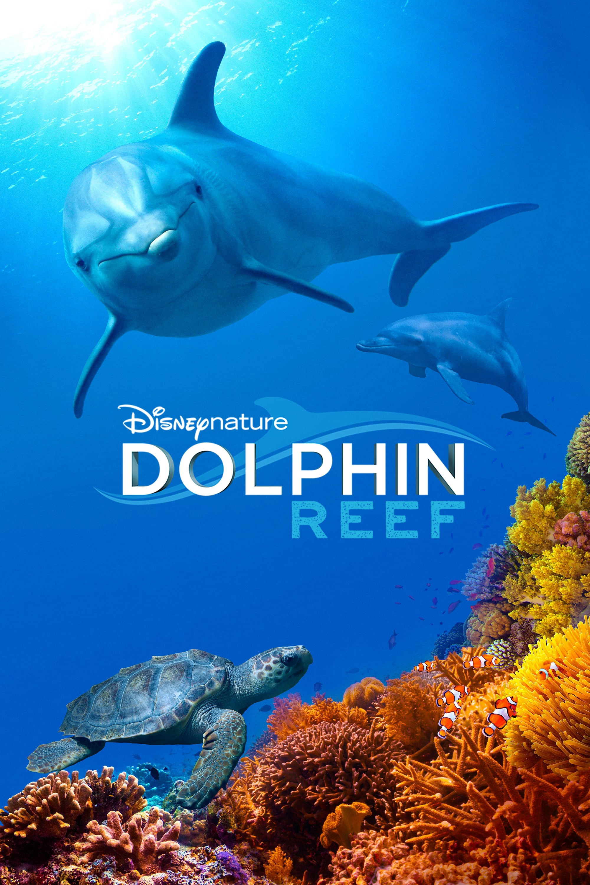 Xem Phim Rạn San Hô Cá Heo (Dolphin Reef)