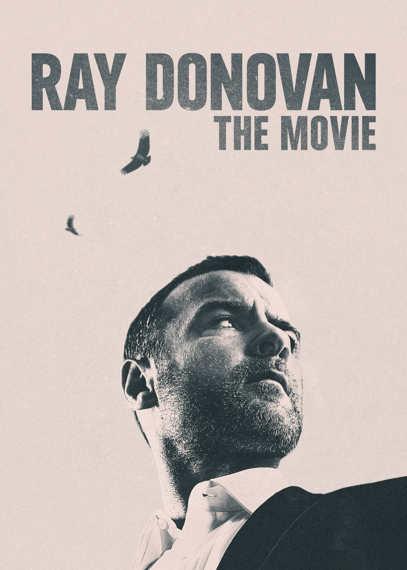 Poster Phim Ray Donovan Finale (Ray Donovan Finale)