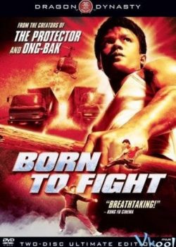 Xem Phim Sinh Ra Để Chiến / Bản Năng Chiến Đấu (Born To Fight)