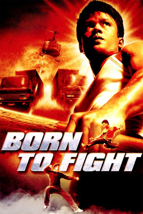 Xem Phim Sinh Ra Để Chiến Đấu (Born to Fight)