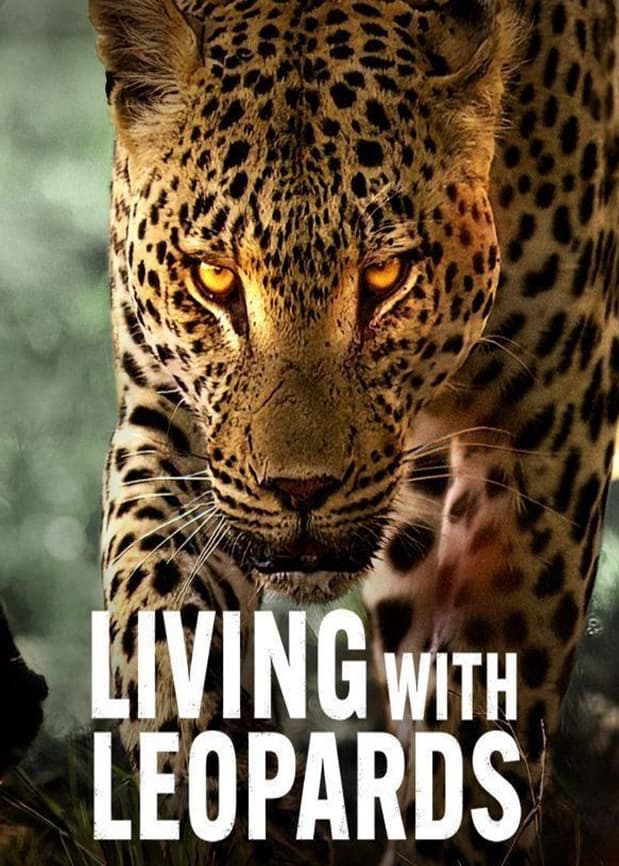 Xem Phim Sống cùng báo hoa (Living with Leopards)