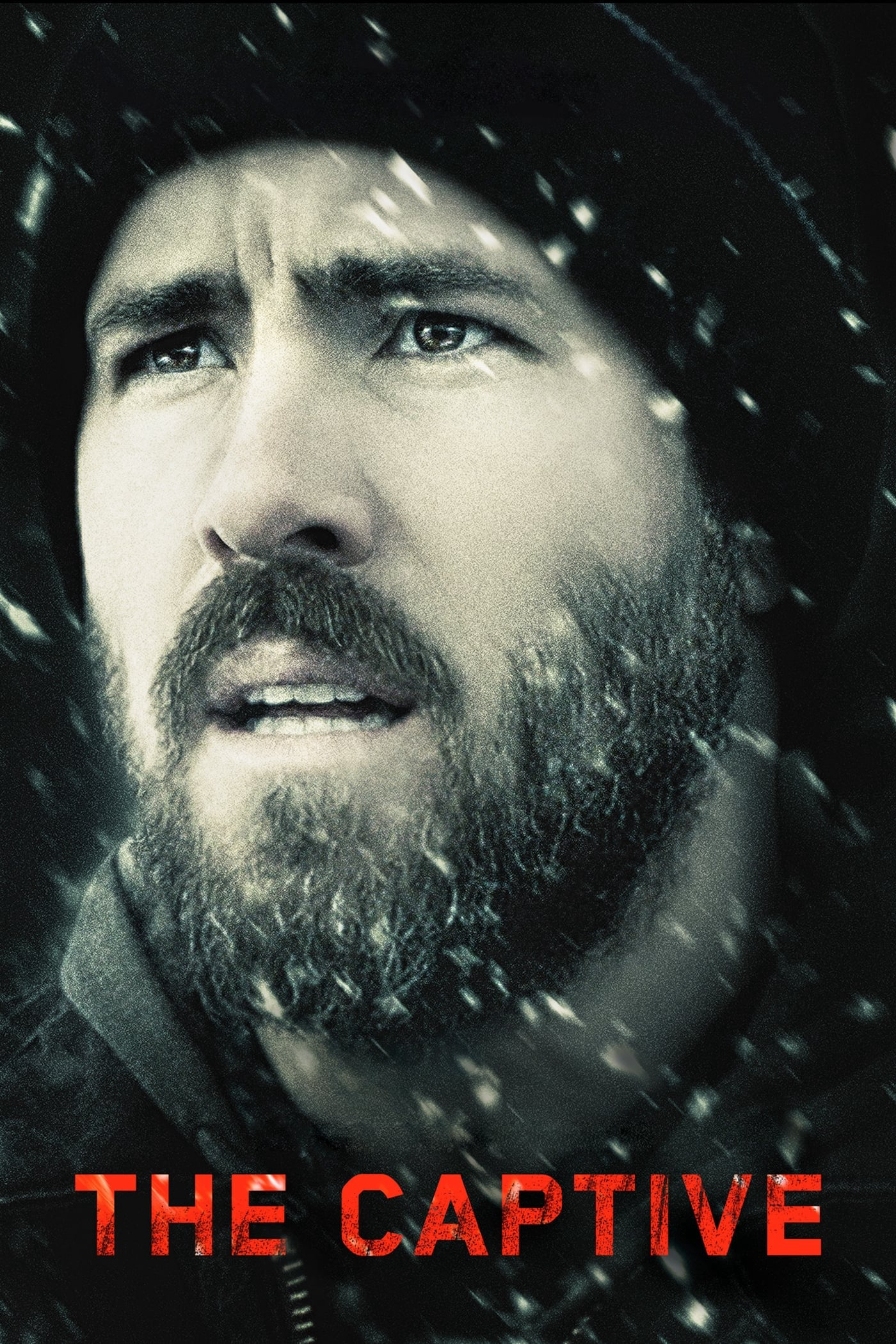 Poster Phim The Captive (The Captive)
