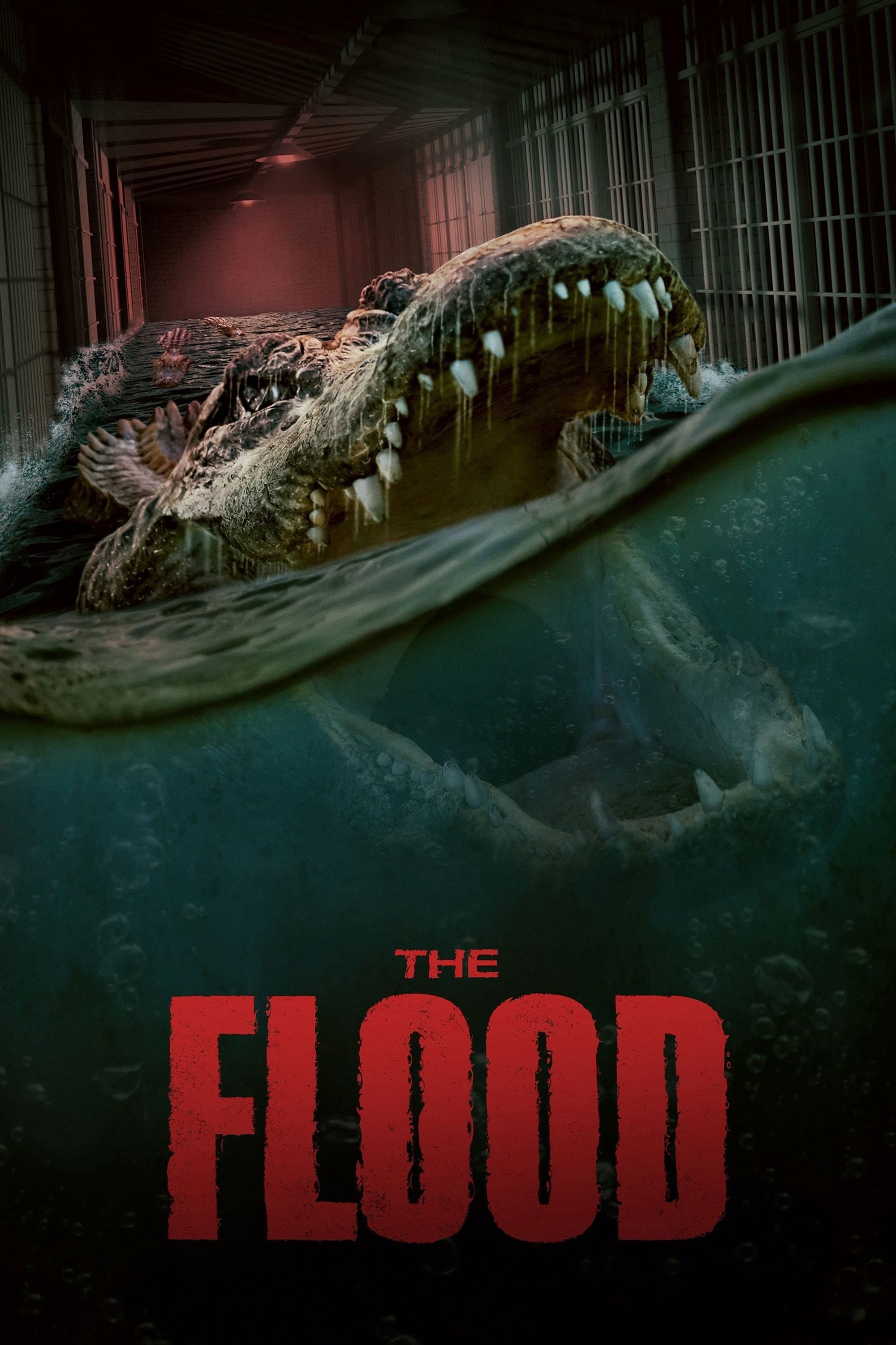 Poster Phim The Flood (The Flood)
