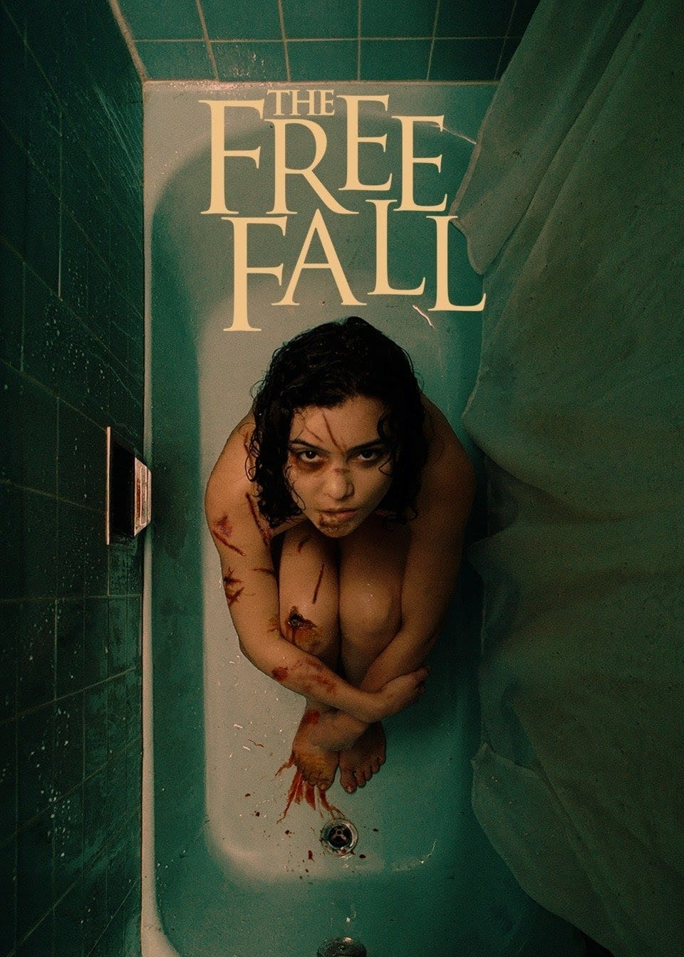 Poster Phim The Free Fall (The Free Fall)