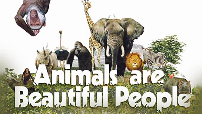 Xem Phim Thế Giới Loài Vật Sống Động (Animals Are Beautiful People)