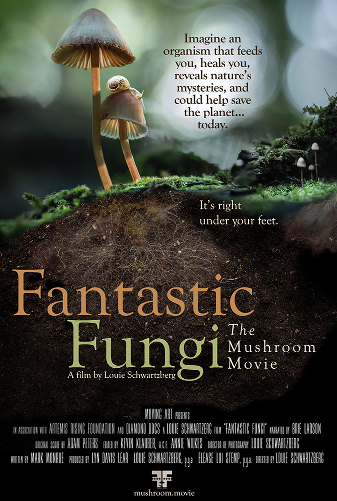 Xem Phim Thế giới nấm diệu kỳ (Fantastic Fungi)