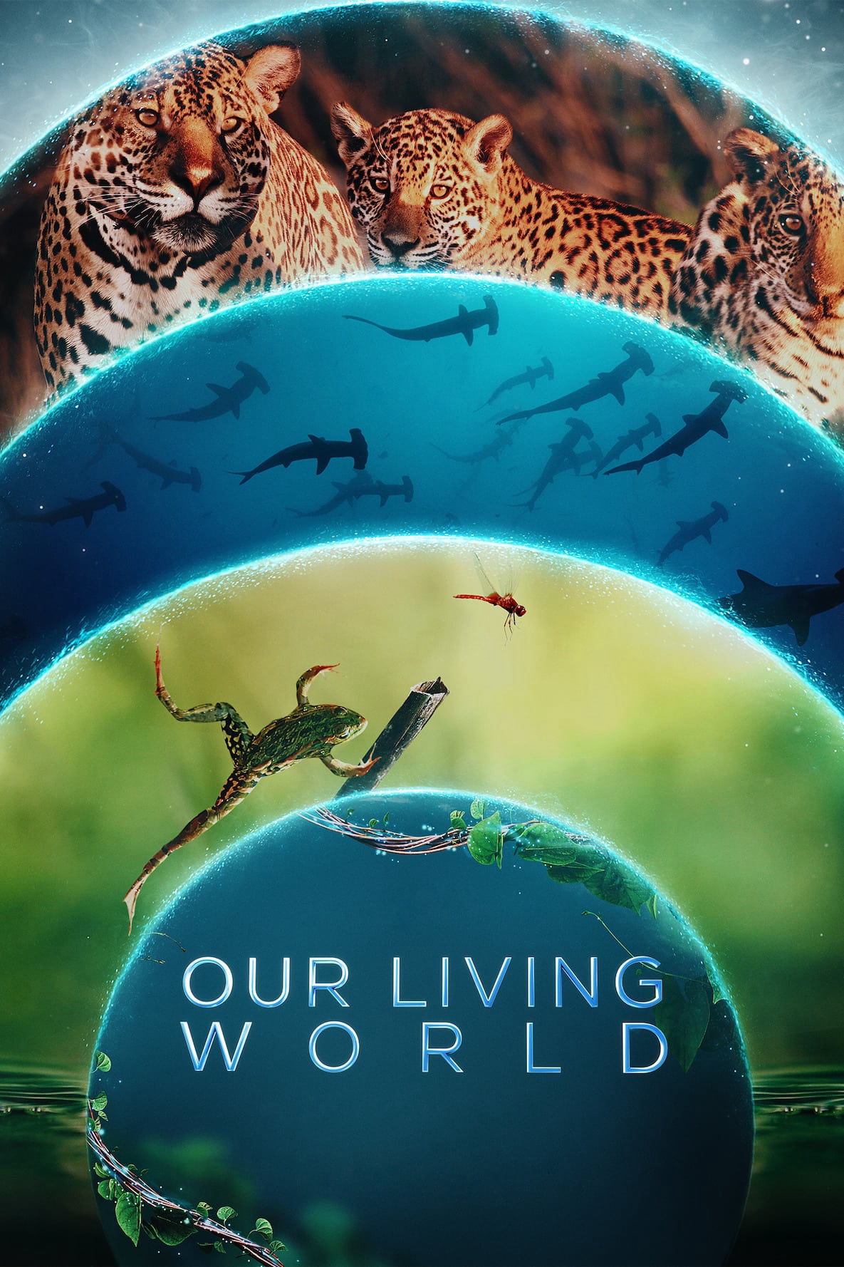 Poster Phim Thế giới sống của chúng ta (Our Living World)
