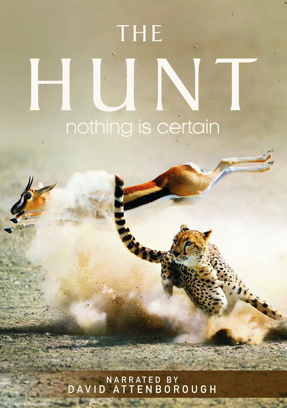 Poster Phim The Hunt (The Hunt )