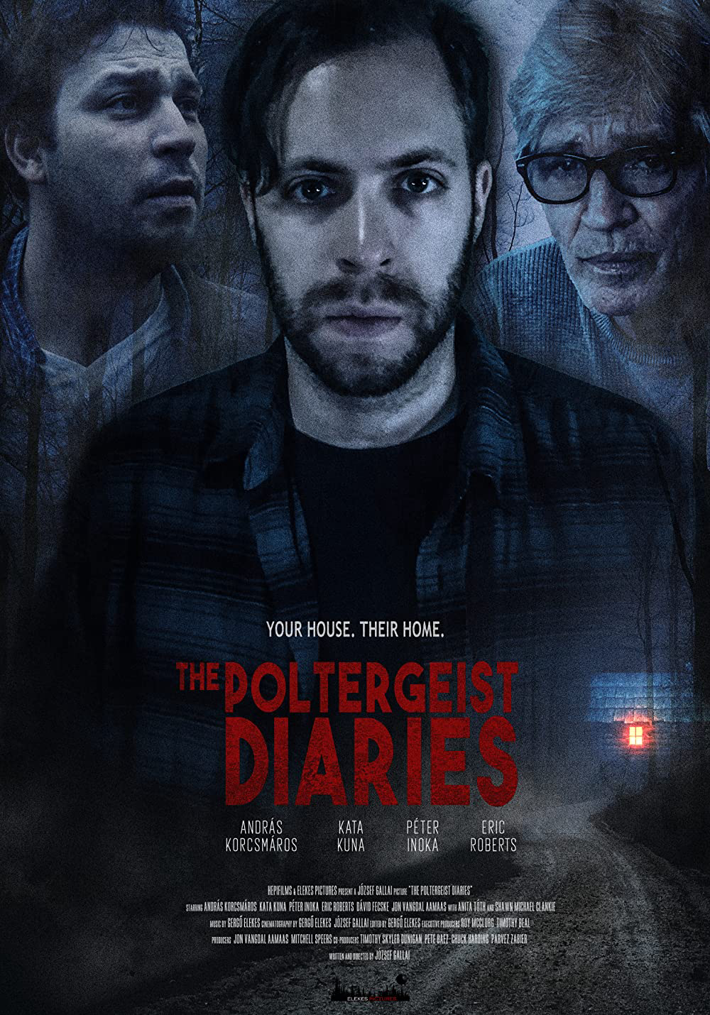 Poster Phim The Poltergeist Diaries (The Poltergeist Diaries)