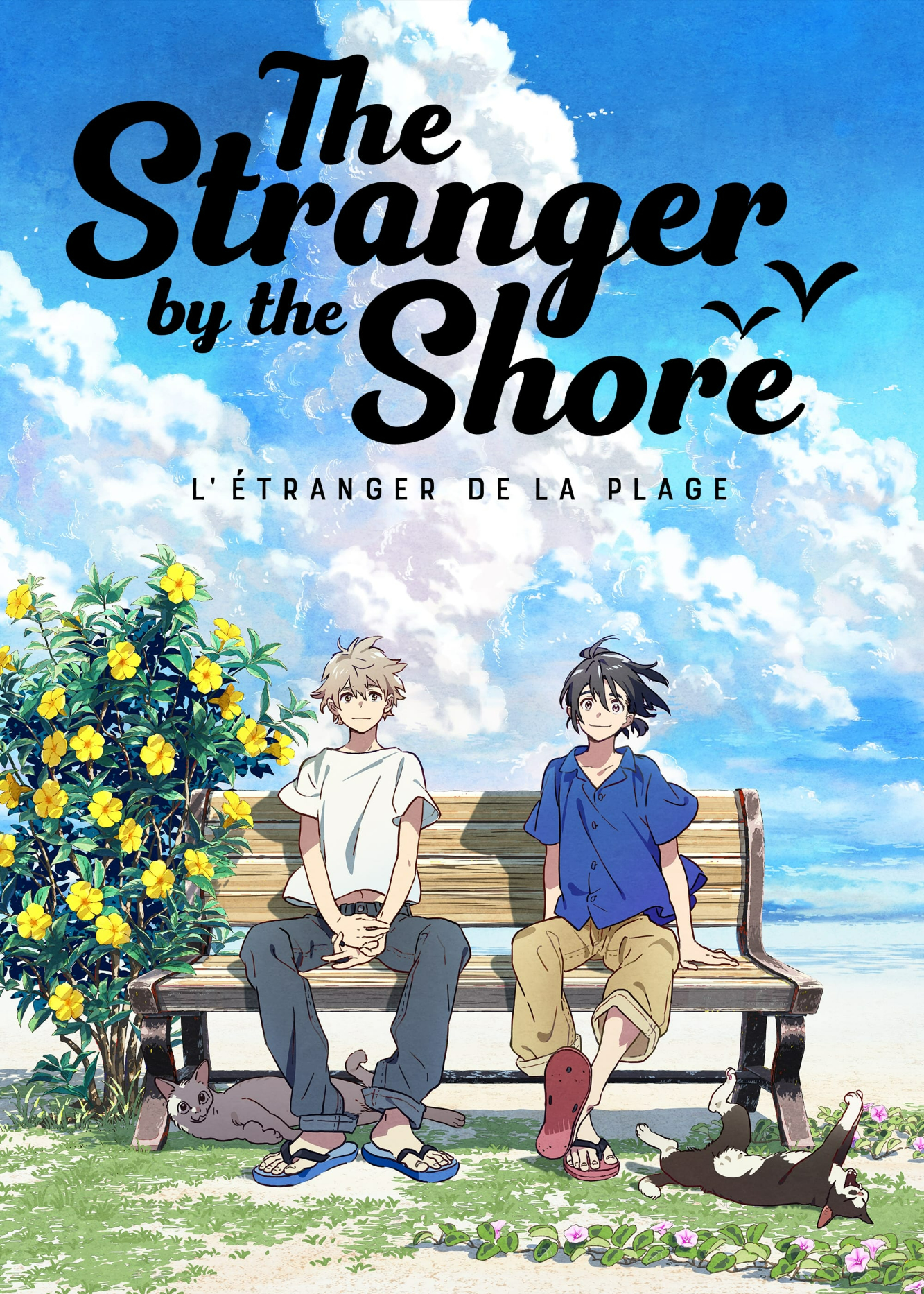Poster Phim The Stranger by the Beach (The Stranger by the Beach)