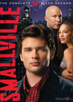 Xem Phim Thị Grấn Smallville Phần 6 (Smallville Season 6)