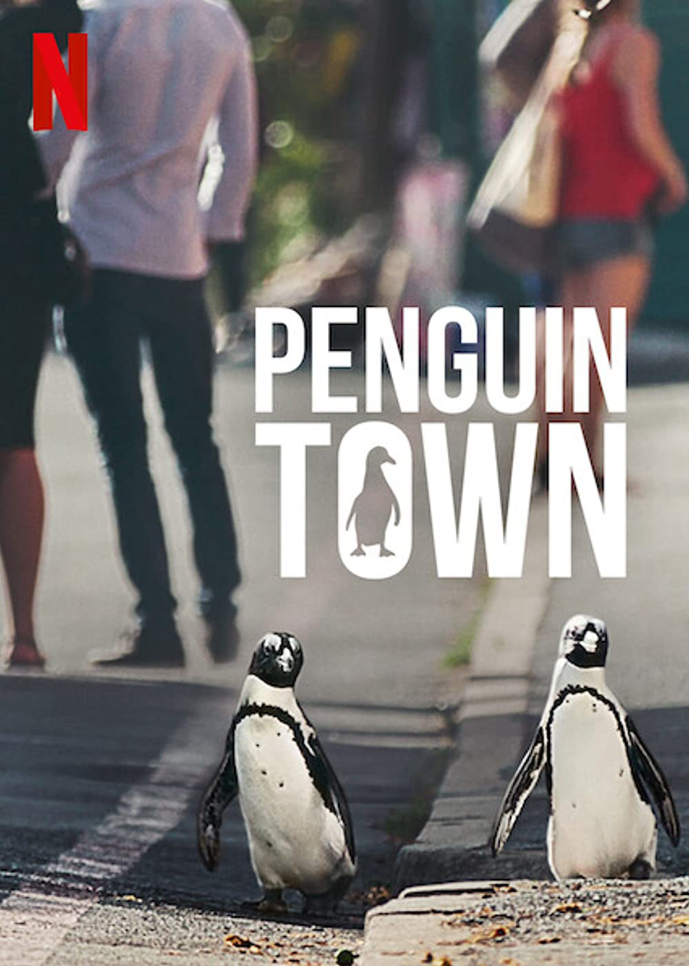 Poster Phim Thị trấn cánh cụt (Penguin Town)