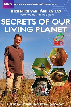 Xem Phim Thiên Nhiên Vận Hành Ra Sao (Secrets of Our Living Planet)