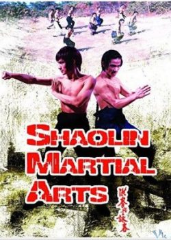 Xem Phim Thiếu Lâm Hồng Gia Quyền (Shaolin Martial Arts)