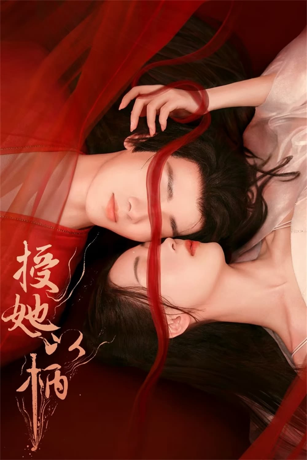 Poster Phim Thọ Tả Dĩ Bính (Để Nàng Nắm Thóp) (A Tale of Love and Loyalty)