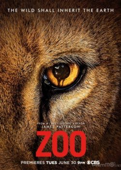 Xem Phim Thú Hoang Nổi Loạn Phần 1 (Zoo Season 1)