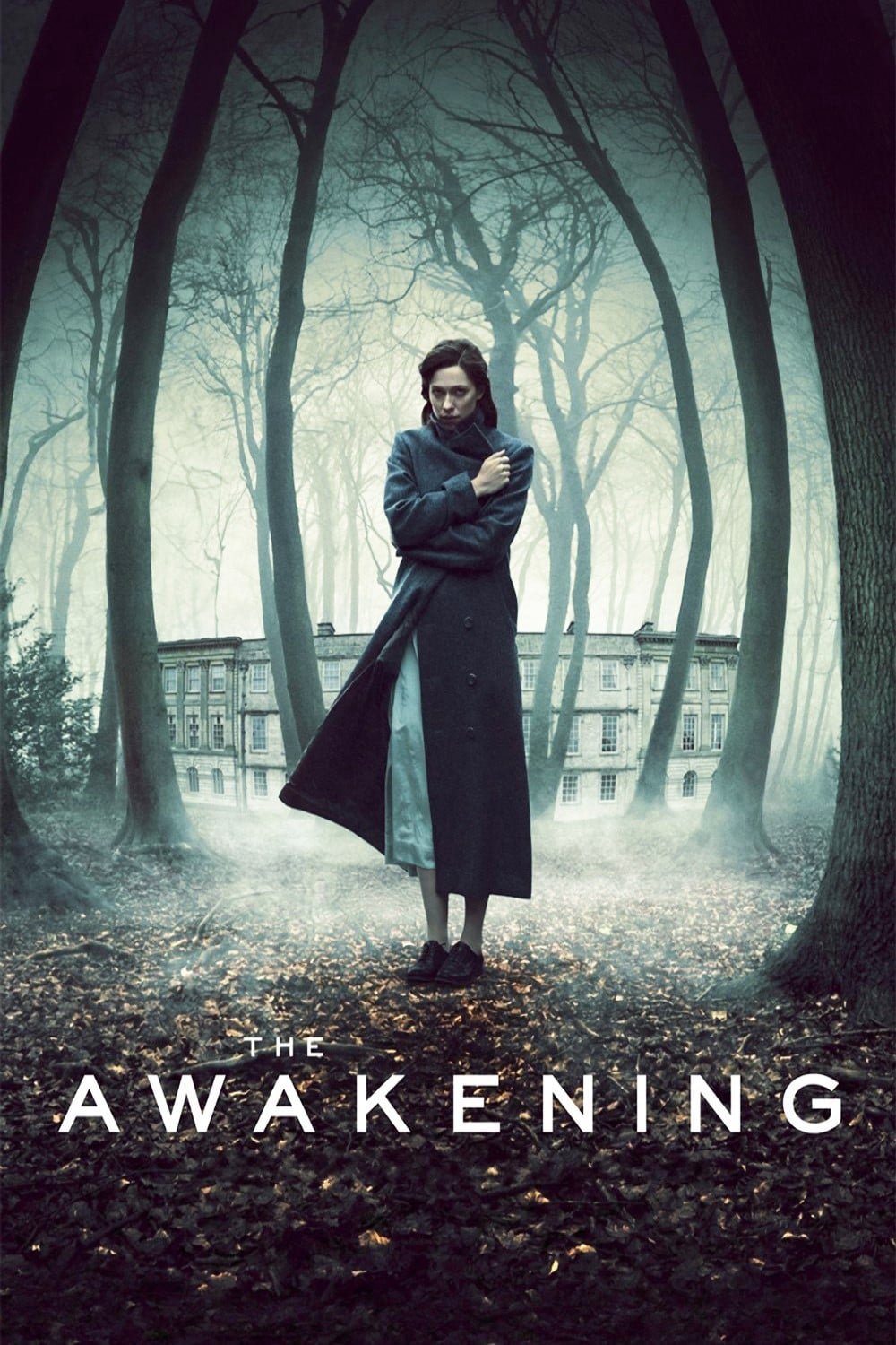 Poster Phim Tỉnh Giấc (The Awakening)