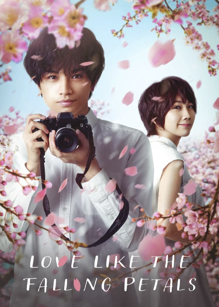 Poster Phim Tình yêu như cánh hoa rơi (Love Like the Falling Petals)