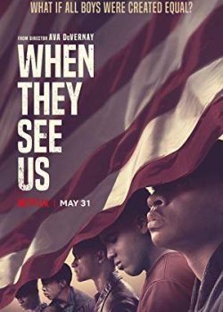Poster Phim Trong Mắt Họ Phần 1 (When They See Us Season 1)