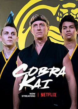 Poster Phim Võ Đường Cobra Kai Phần 3 (Cobra Kai Season 3)