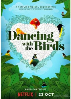 Xem Phim Vũ Điệu Các Loại Chim (Dancing with the Birds)