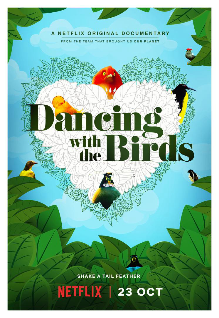 Xem Phim Vũ điệu của loài chim (Dancing with the Birds)