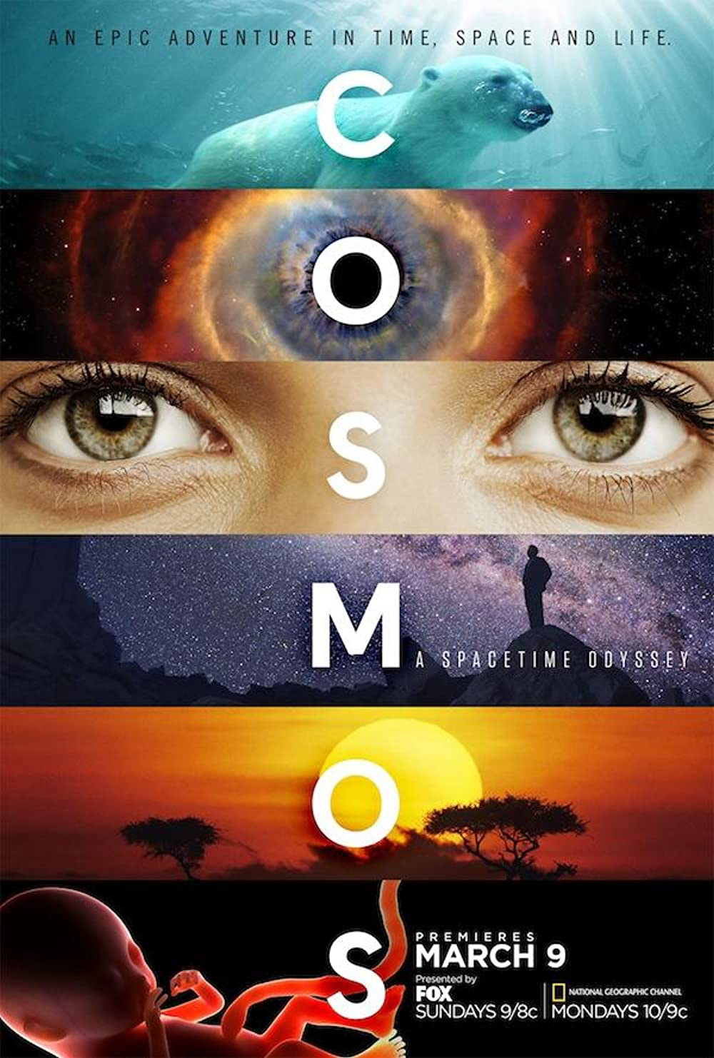Xem Phim Vũ Trụ Kỳ Diệu Phần 1 (Cosmos: A Spacetime Odyssey Season 1)
