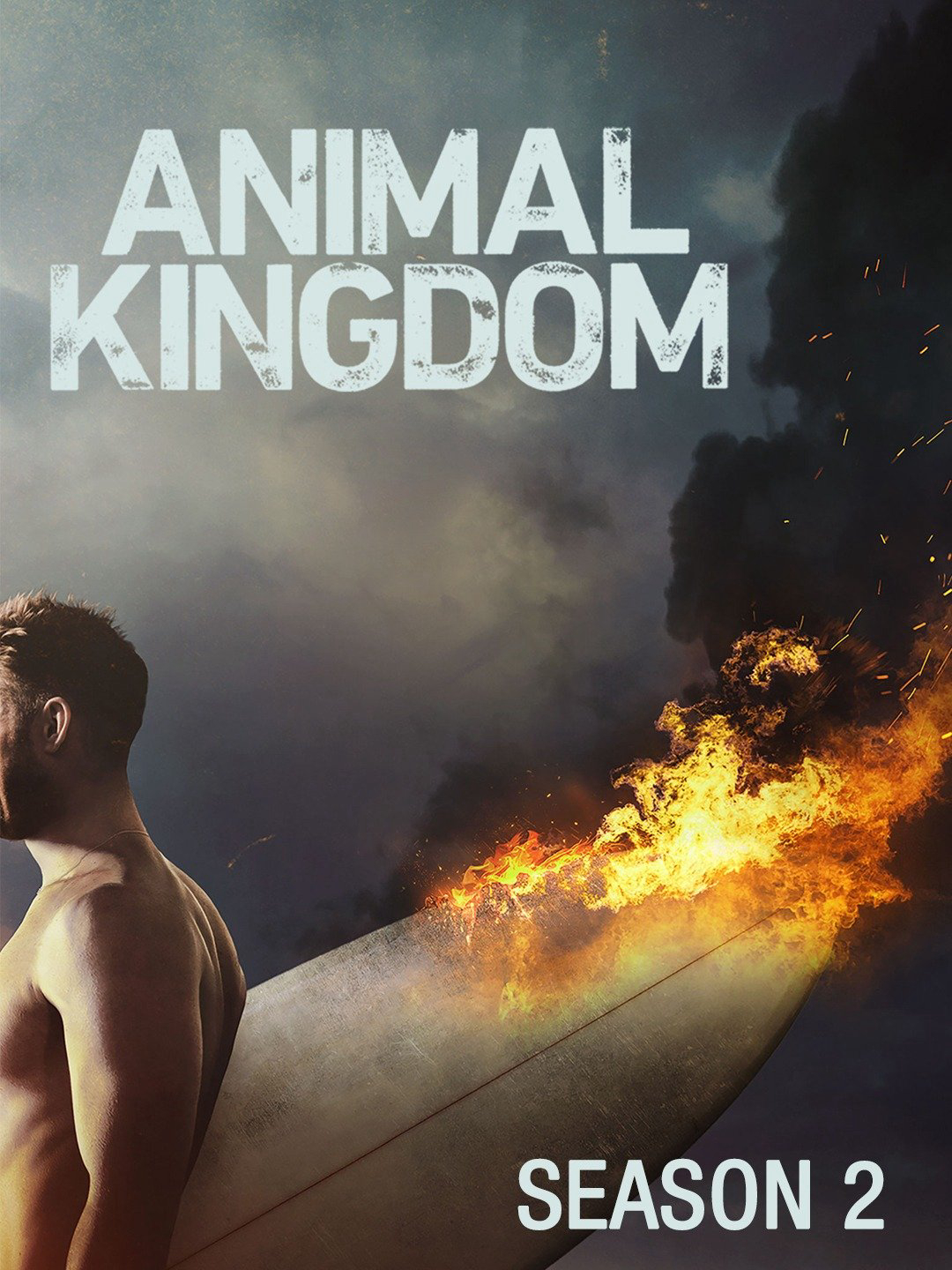 Poster Phim Vương quốc động vật (Phần 2) (Animal Kingdom (Season 2))