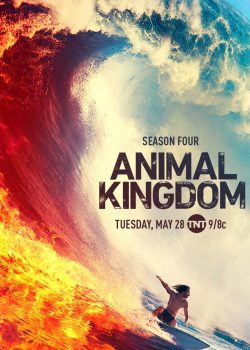 Xem Phim Vương Quốc Động Vật Phần 4 (Animal Kingdom Season 4)