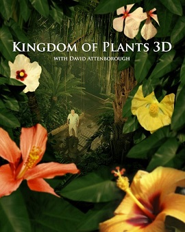 Poster Phim Vương Quốc Thực Vật (Kingdom of Plants)