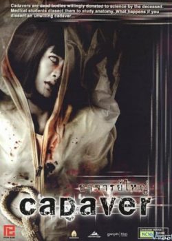 Poster Phim Xác Chết Bí Ẩn (Cadaver)